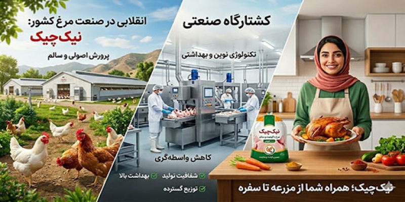 "انقلابی در صنعت مرغ کشور: نیک‌چیک، پیشرو در کیفیت و سلامت پروتئین سفید!"
