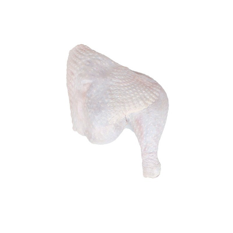 ران بوقلمون نیک چیک اصفهان